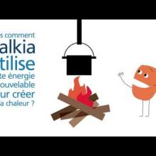 Vignette - La biomasse